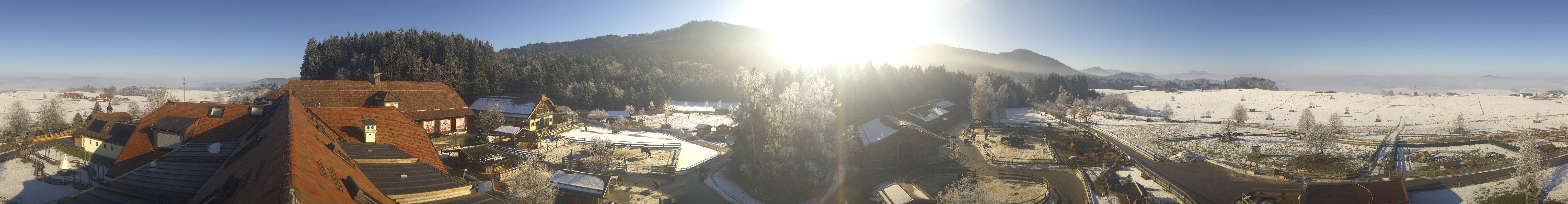 Archiv Foto Webcam Henndorf am Wallersee - Gut Aiderbichl