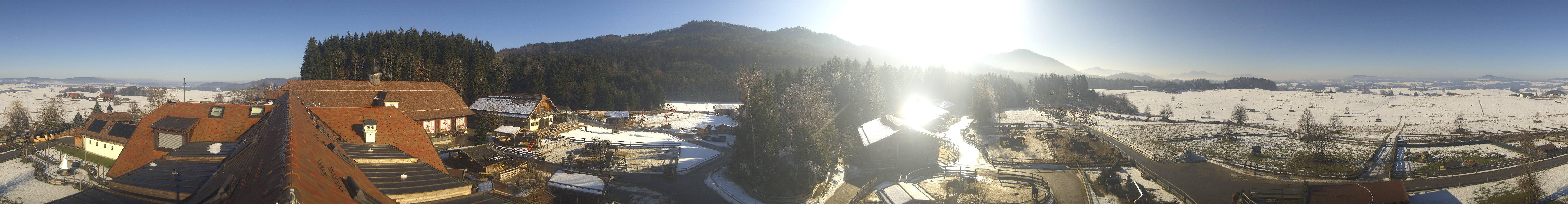 Archiv Foto Webcam Henndorf am Wallersee - Gut Aiderbichl