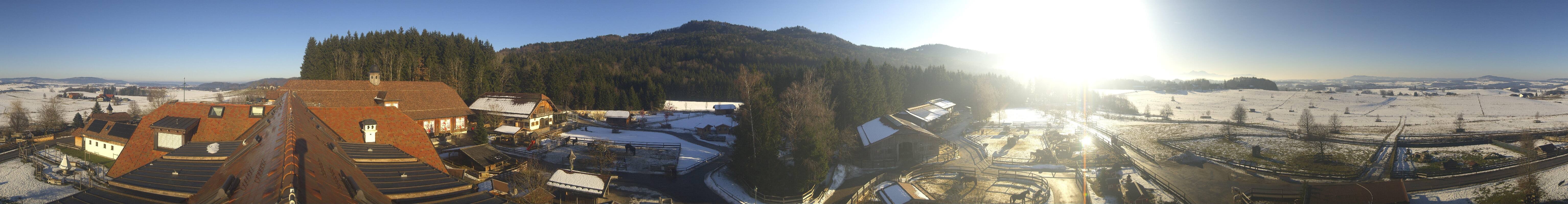 Archiv Foto Webcam Henndorf am Wallersee - Gut Aiderbichl