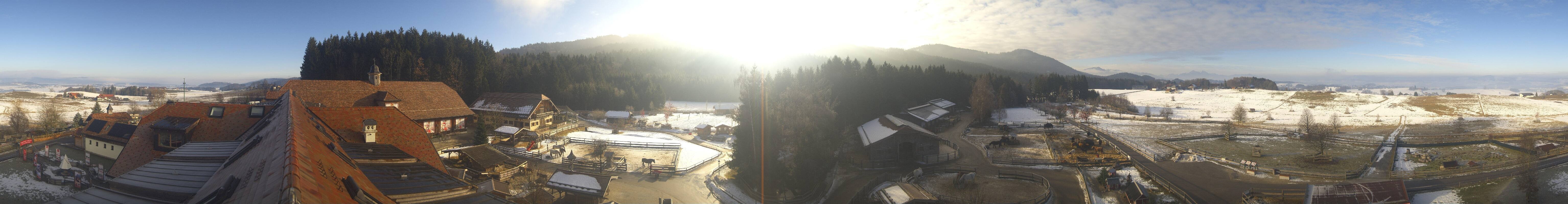 Archiv Foto Webcam Henndorf am Wallersee - Gut Aiderbichl