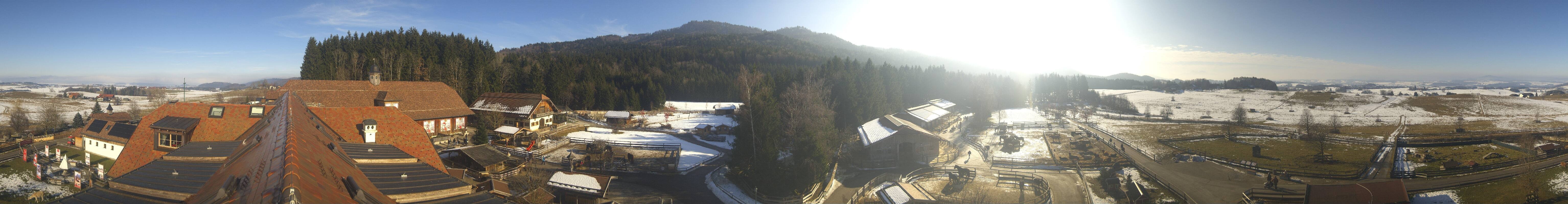 Archiv Foto Webcam Henndorf am Wallersee - Gut Aiderbichl