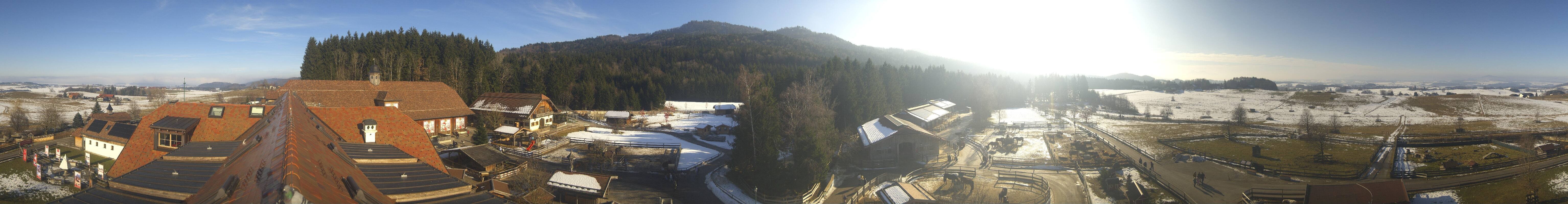 Archiv Foto Webcam Henndorf am Wallersee - Gut Aiderbichl