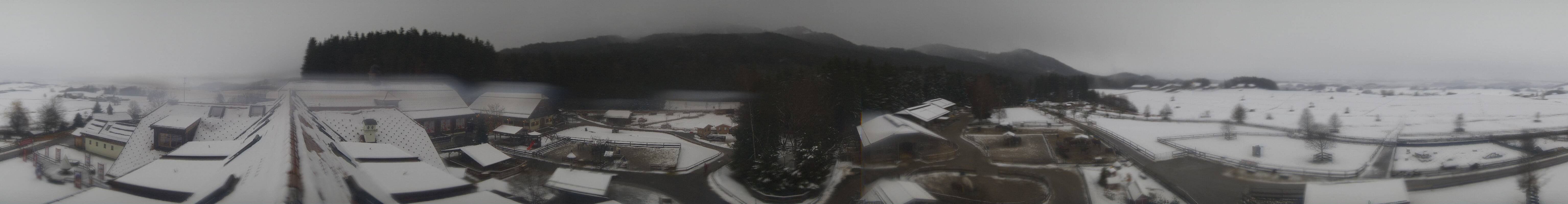 Archiv Foto Webcam Henndorf am Wallersee - Gut Aiderbichl