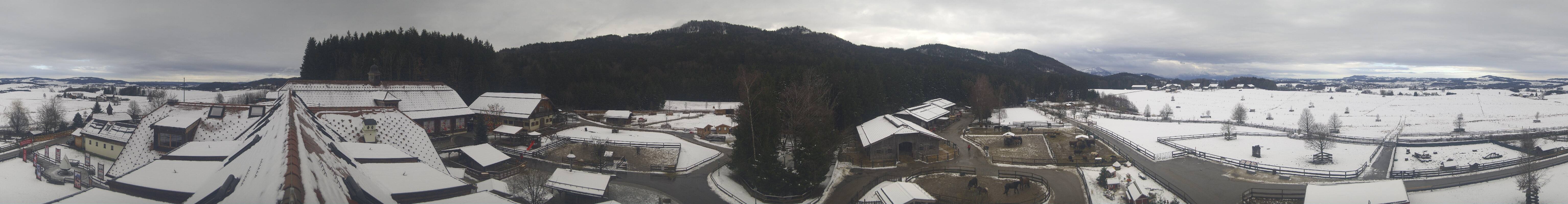 Archiv Foto Webcam Henndorf am Wallersee - Gut Aiderbichl