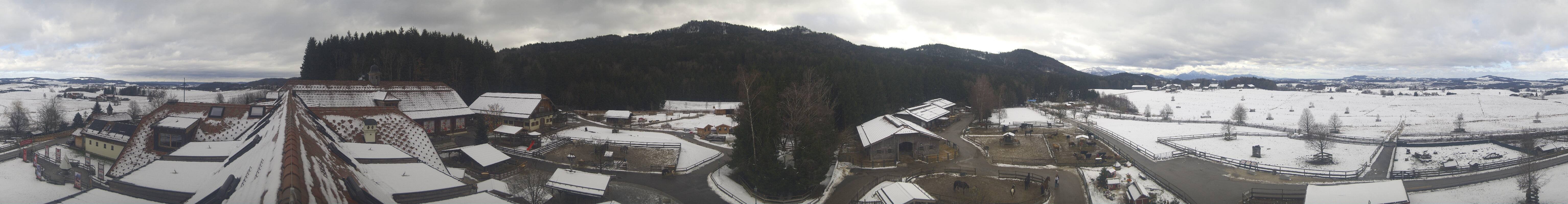 Archiv Foto Webcam Henndorf am Wallersee - Gut Aiderbichl