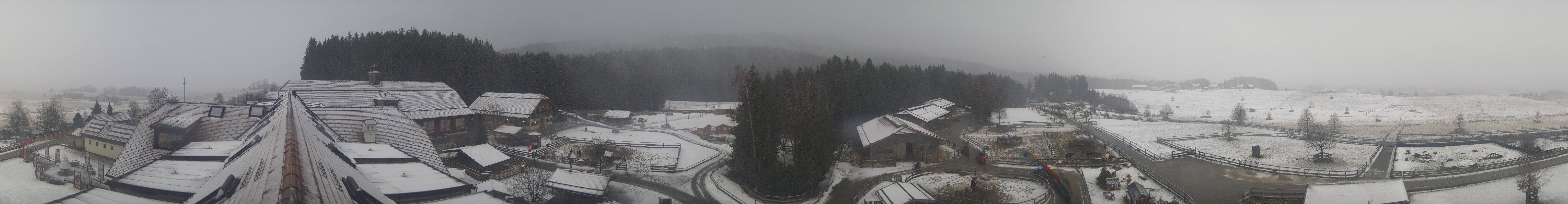 Archiv Foto Webcam Henndorf am Wallersee - Gut Aiderbichl