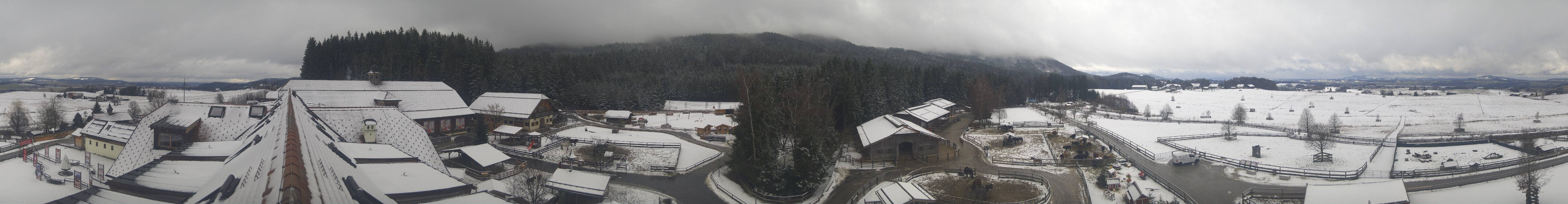 Archiv Foto Webcam Henndorf am Wallersee - Gut Aiderbichl