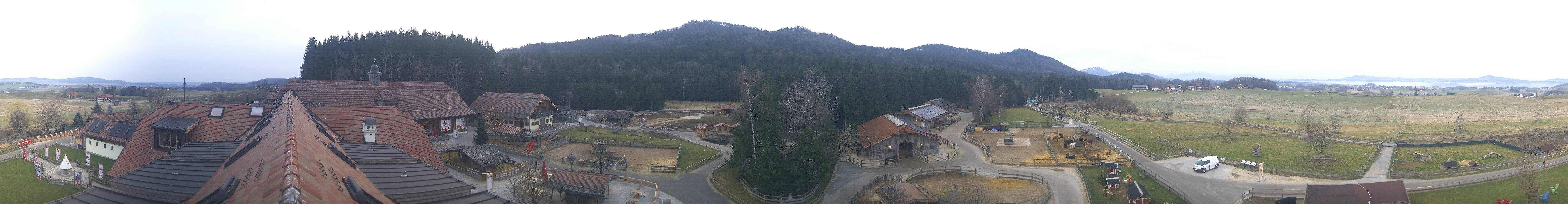 Archiv Foto Webcam Henndorf am Wallersee - Gut Aiderbichl