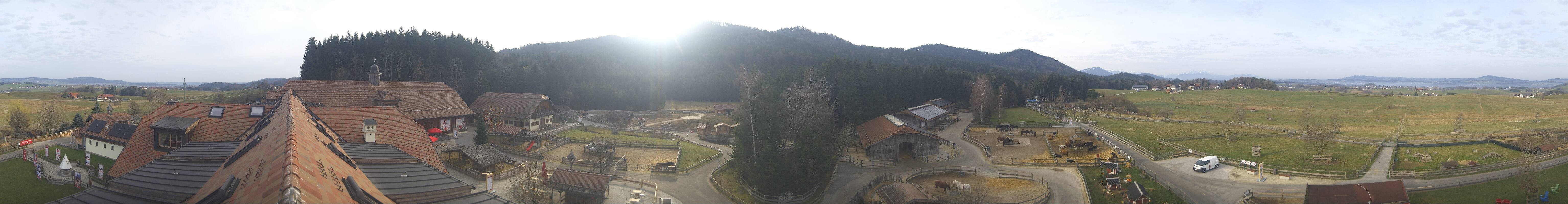 Archiv Foto Webcam Henndorf am Wallersee - Gut Aiderbichl