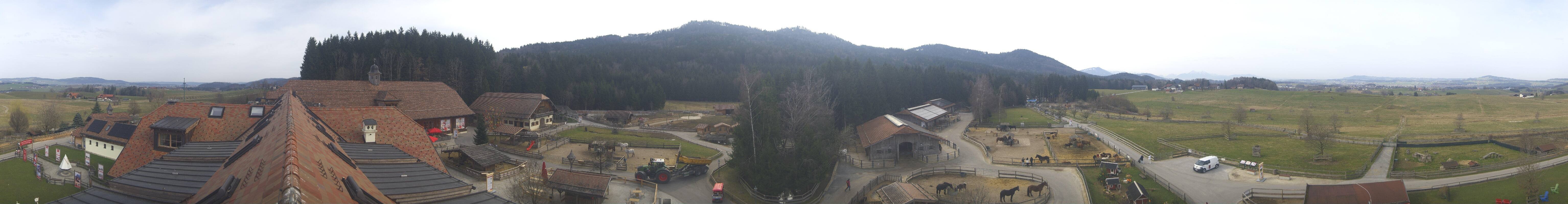 Archiv Foto Webcam Henndorf am Wallersee - Gut Aiderbichl