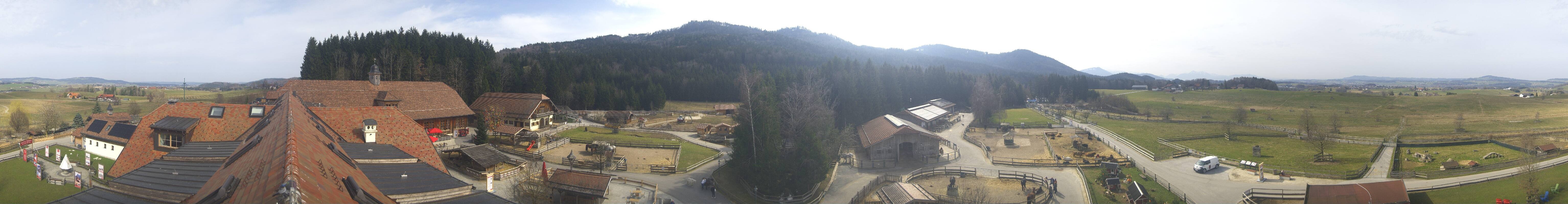 Archiv Foto Webcam Henndorf am Wallersee - Gut Aiderbichl
