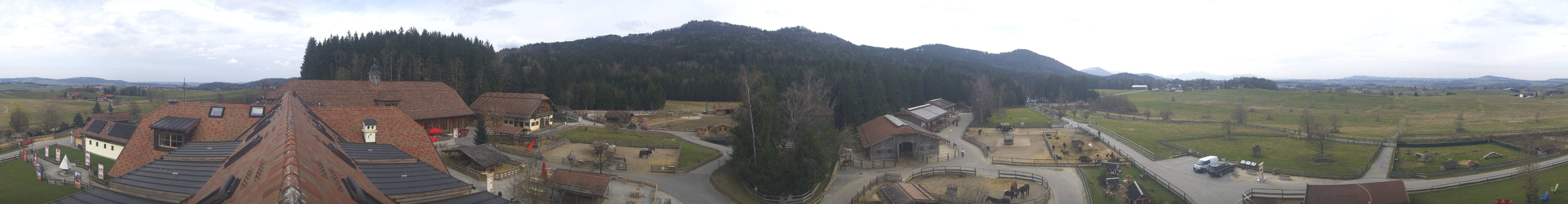 Archiv Foto Webcam Henndorf am Wallersee - Gut Aiderbichl