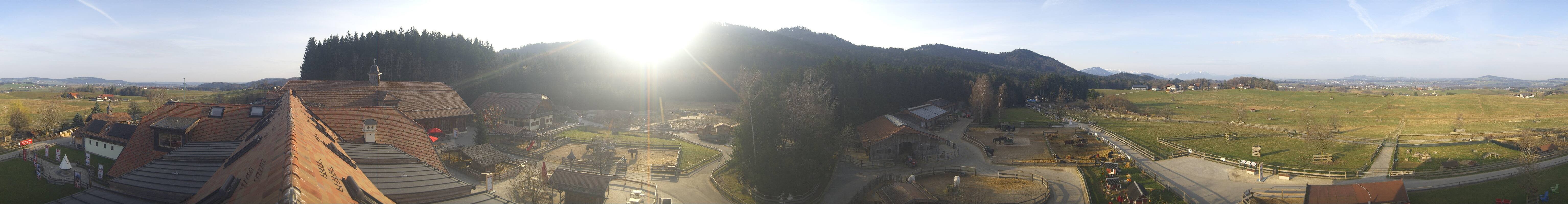 Archiv Foto Webcam Henndorf am Wallersee - Gut Aiderbichl