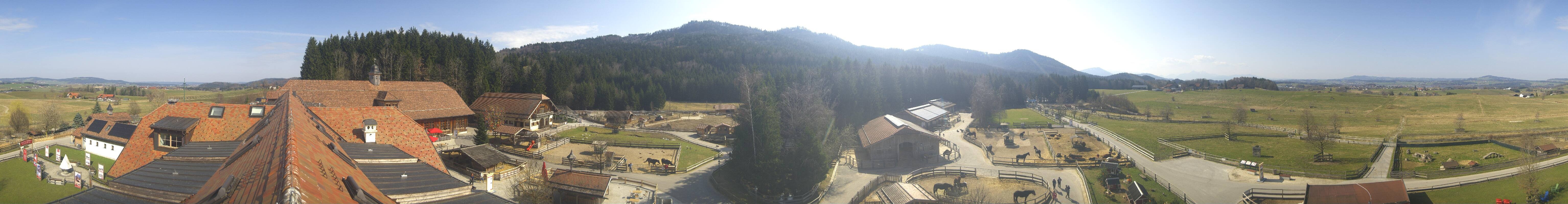 Archiv Foto Webcam Henndorf am Wallersee - Gut Aiderbichl