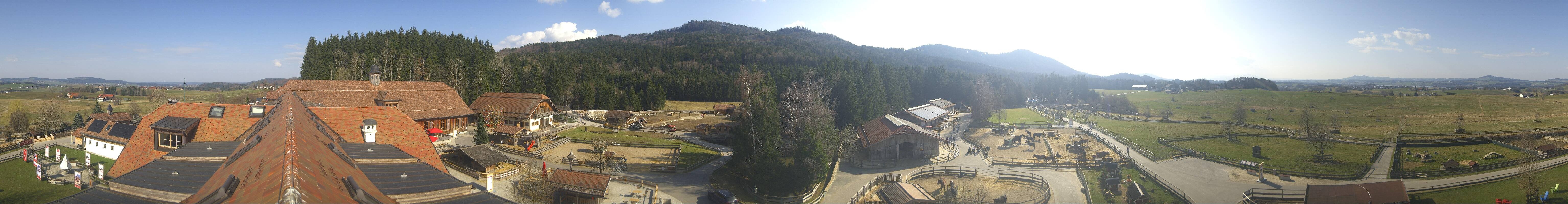 Archiv Foto Webcam Henndorf am Wallersee - Gut Aiderbichl