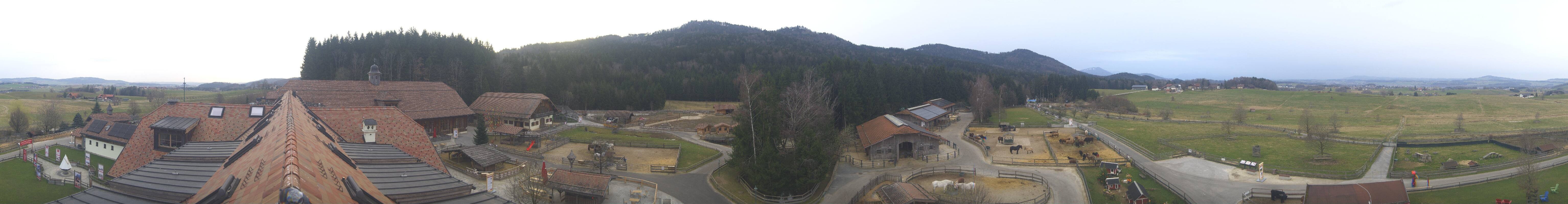 Archiv Foto Webcam Henndorf am Wallersee - Gut Aiderbichl