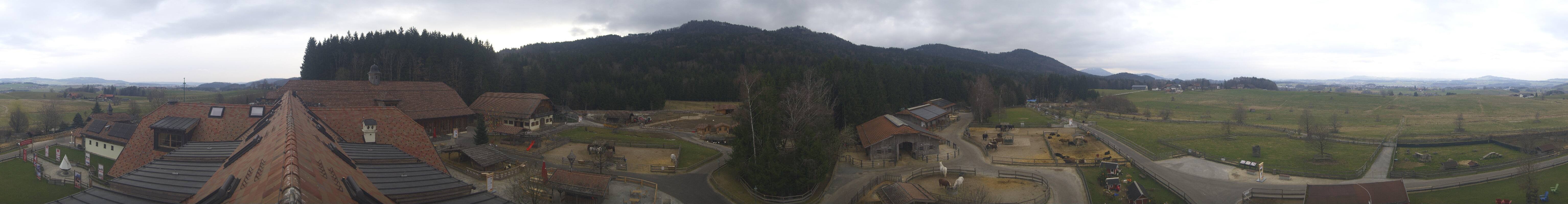Archiv Foto Webcam Henndorf am Wallersee - Gut Aiderbichl