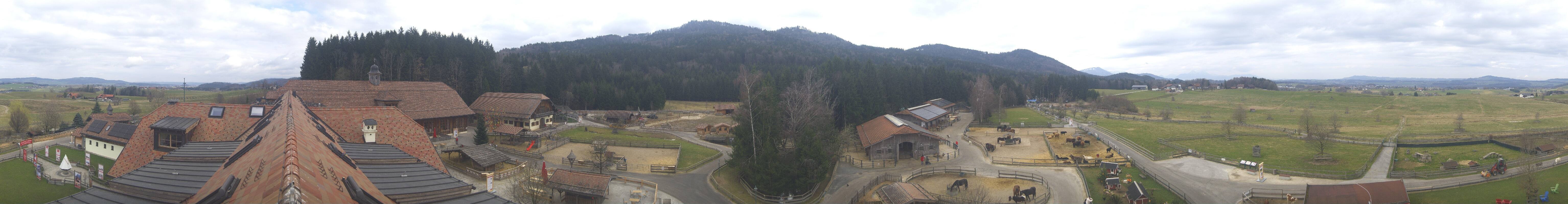 Archiv Foto Webcam Henndorf am Wallersee - Gut Aiderbichl