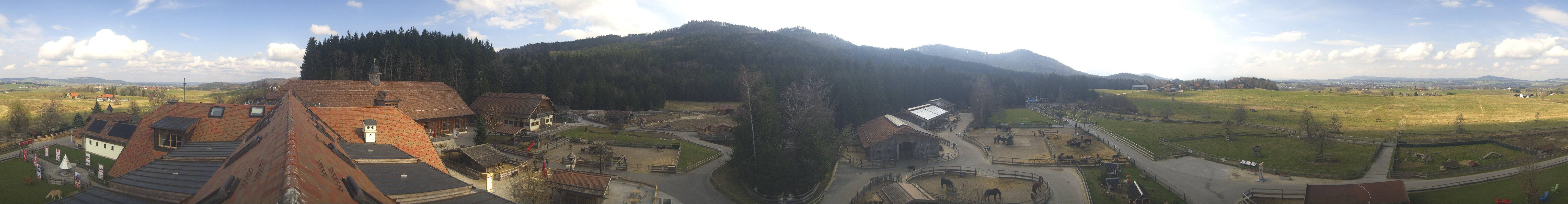 Archiv Foto Webcam Henndorf am Wallersee - Gut Aiderbichl