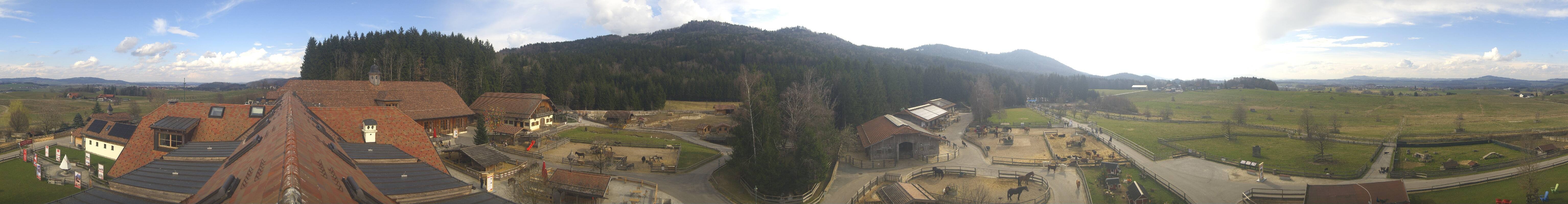 Archiv Foto Webcam Henndorf am Wallersee - Gut Aiderbichl