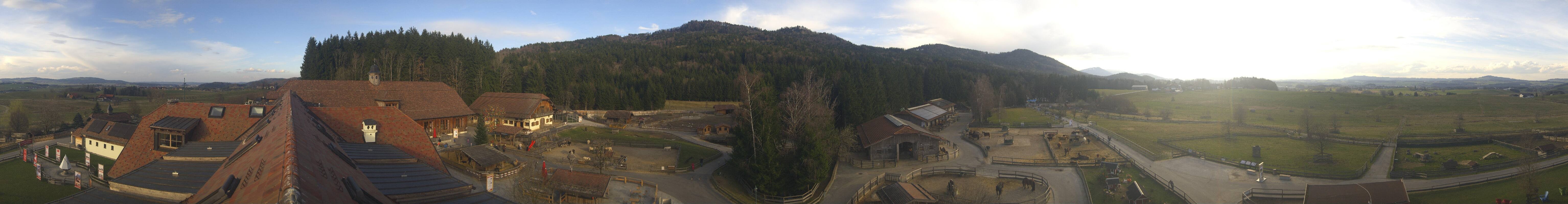 Archiv Foto Webcam Henndorf am Wallersee - Gut Aiderbichl