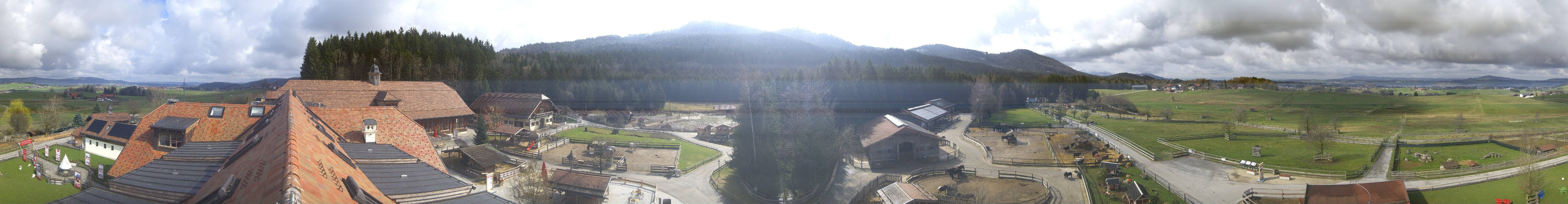 Archiv Foto Webcam Henndorf am Wallersee - Gut Aiderbichl