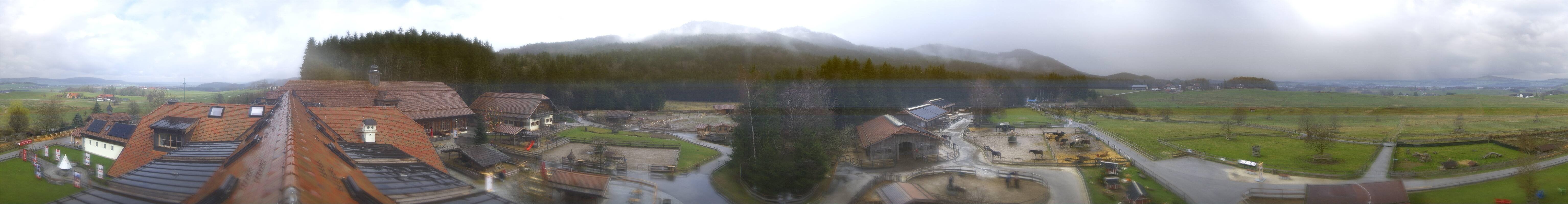 Archiv Foto Webcam Henndorf am Wallersee - Gut Aiderbichl