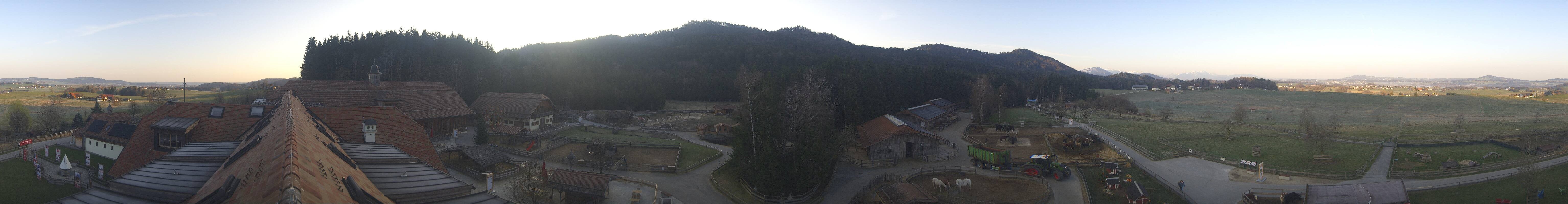 Archiv Foto Webcam Henndorf am Wallersee - Gut Aiderbichl