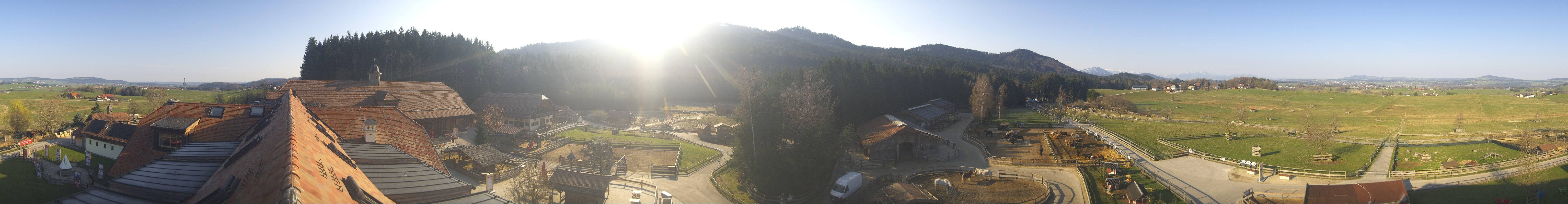 Archiv Foto Webcam Henndorf am Wallersee - Gut Aiderbichl