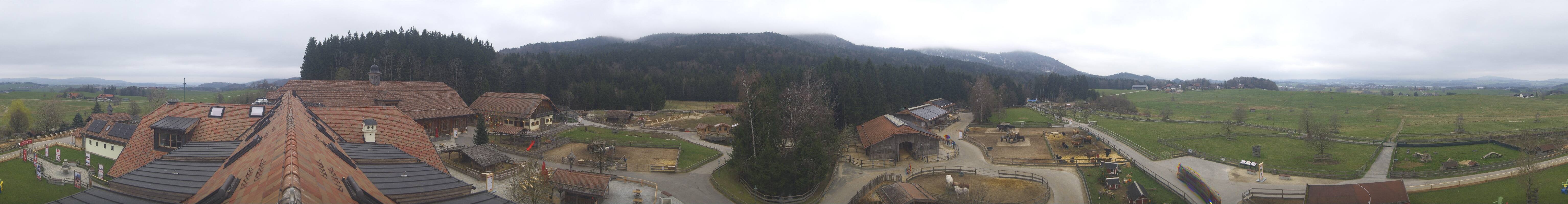 Archiv Foto Webcam Henndorf am Wallersee - Gut Aiderbichl