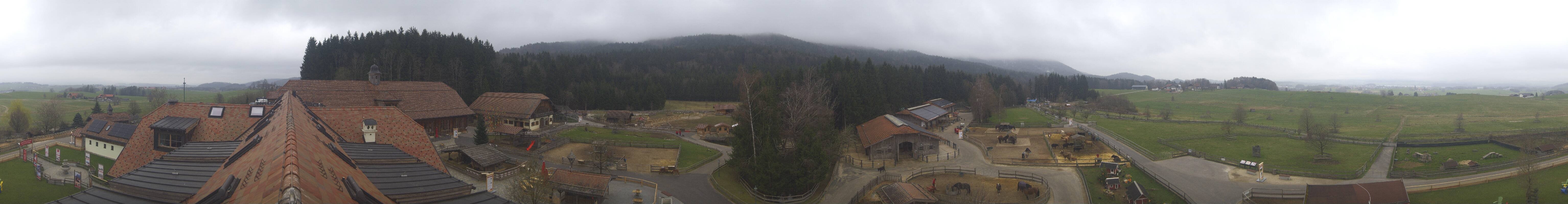 Archiv Foto Webcam Henndorf am Wallersee - Gut Aiderbichl