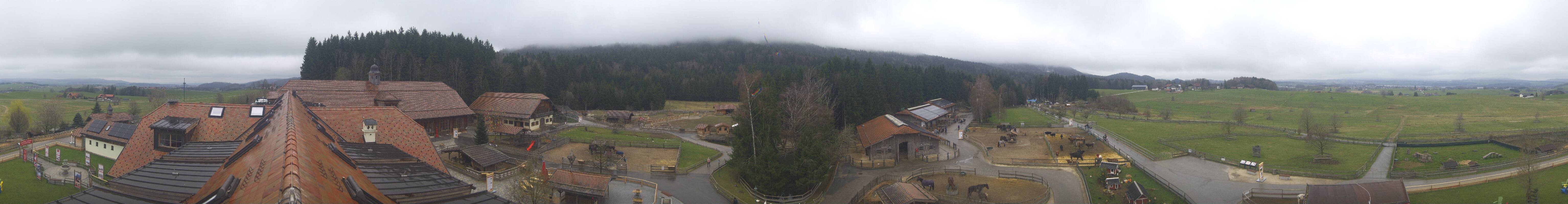 Archiv Foto Webcam Henndorf am Wallersee - Gut Aiderbichl