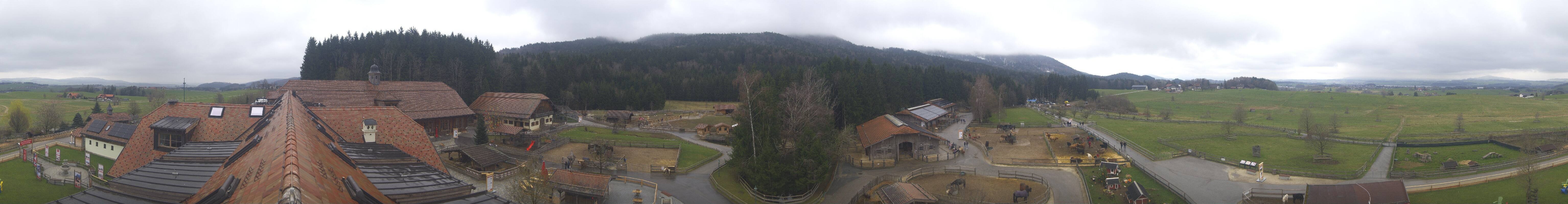 Archiv Foto Webcam Henndorf am Wallersee - Gut Aiderbichl