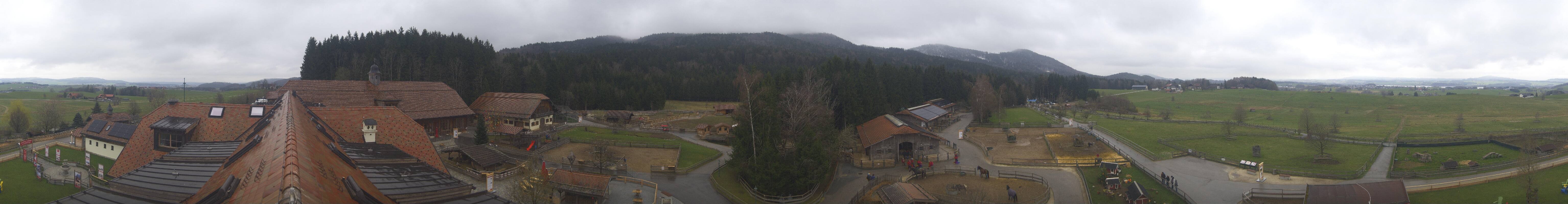 Archiv Foto Webcam Henndorf am Wallersee - Gut Aiderbichl