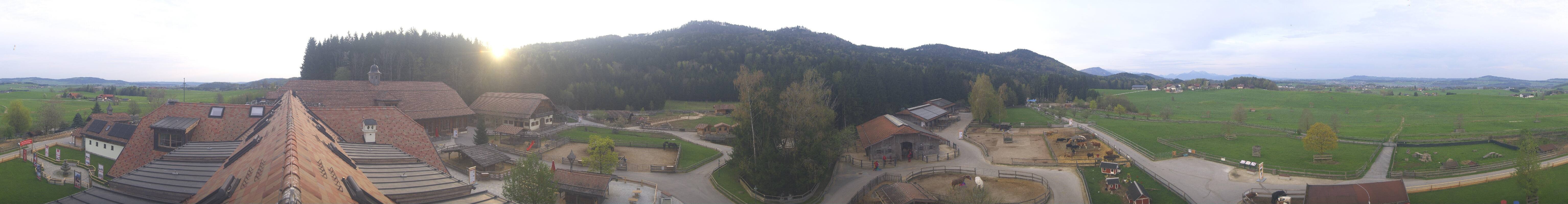 Archiv Foto Webcam Henndorf am Wallersee - Gut Aiderbichl