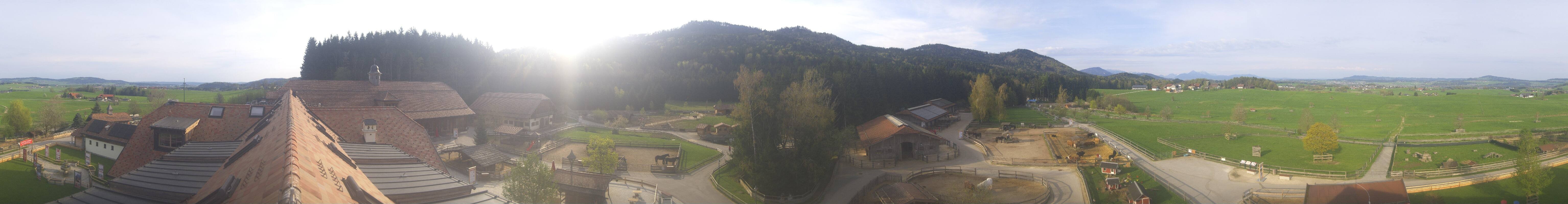 Archiv Foto Webcam Henndorf am Wallersee - Gut Aiderbichl