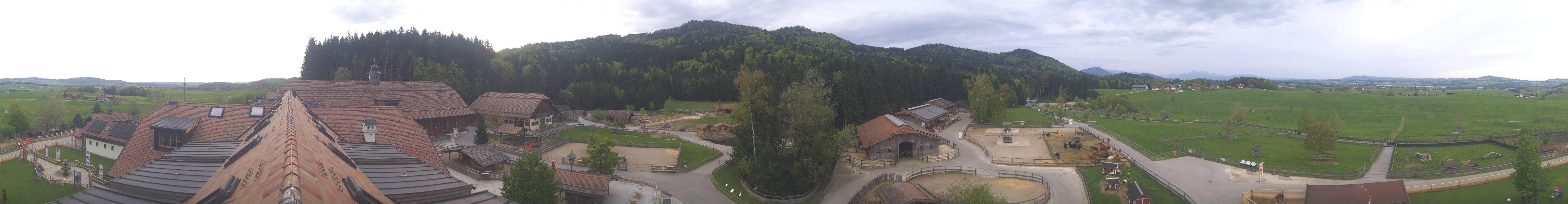 Archiv Foto Webcam Henndorf am Wallersee - Gut Aiderbichl