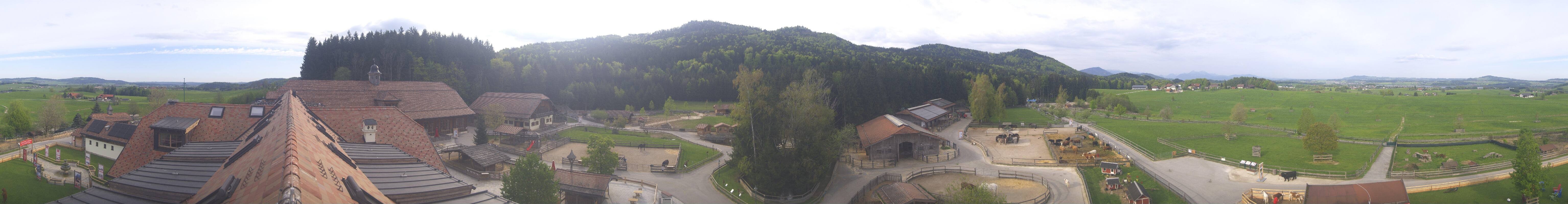 Archiv Foto Webcam Henndorf am Wallersee - Gut Aiderbichl