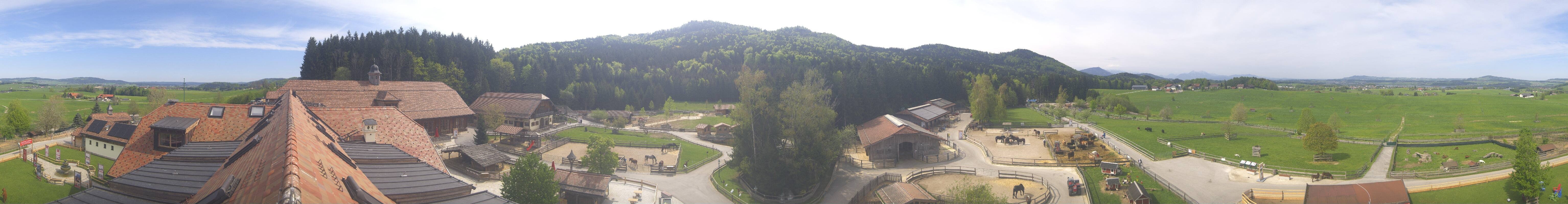 Archiv Foto Webcam Henndorf am Wallersee - Gut Aiderbichl