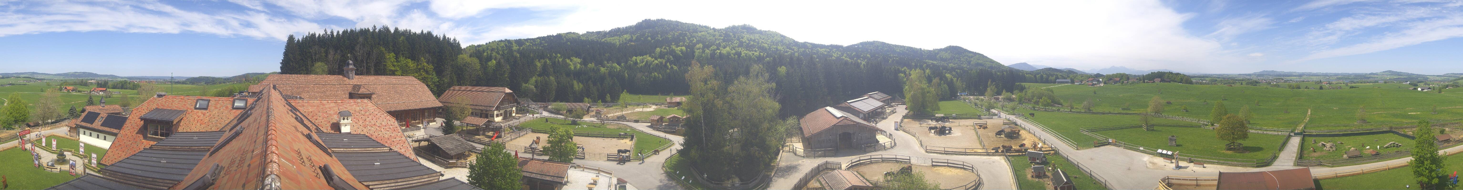 Archiv Foto Webcam Henndorf am Wallersee - Gut Aiderbichl