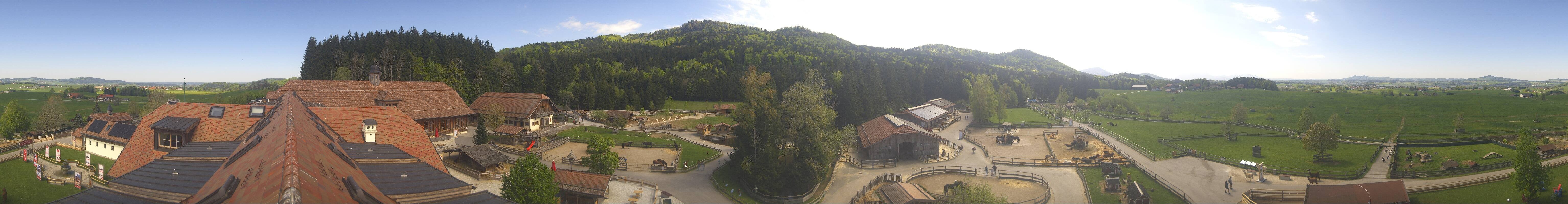 Archiv Foto Webcam Henndorf am Wallersee - Gut Aiderbichl