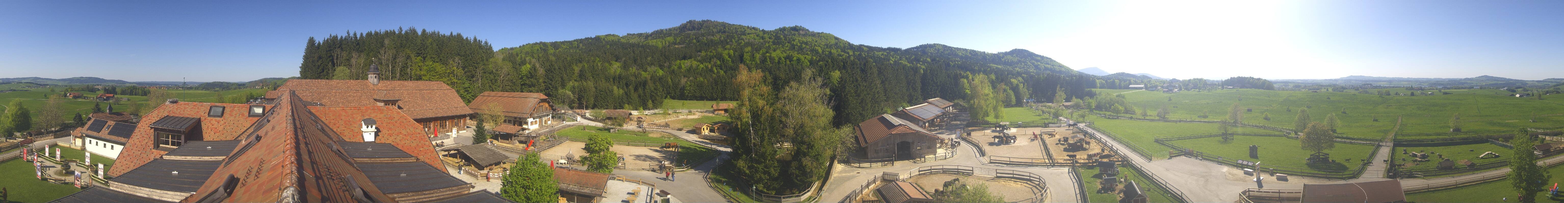 Archiv Foto Webcam Henndorf am Wallersee - Gut Aiderbichl