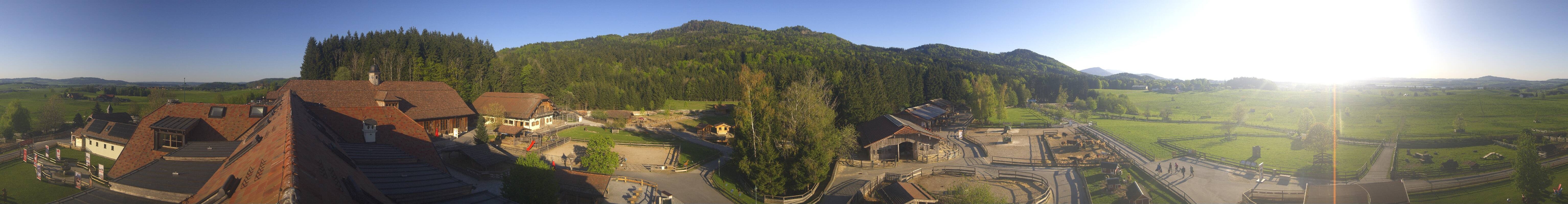 Archiv Foto Webcam Henndorf am Wallersee - Gut Aiderbichl