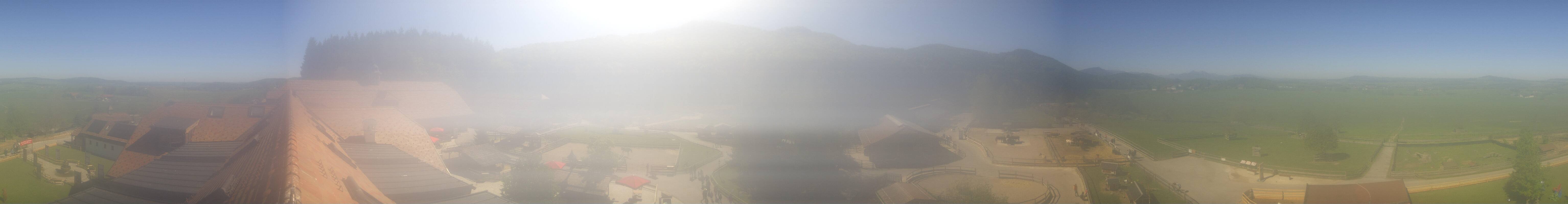 Archiv Foto Webcam Henndorf am Wallersee - Gut Aiderbichl