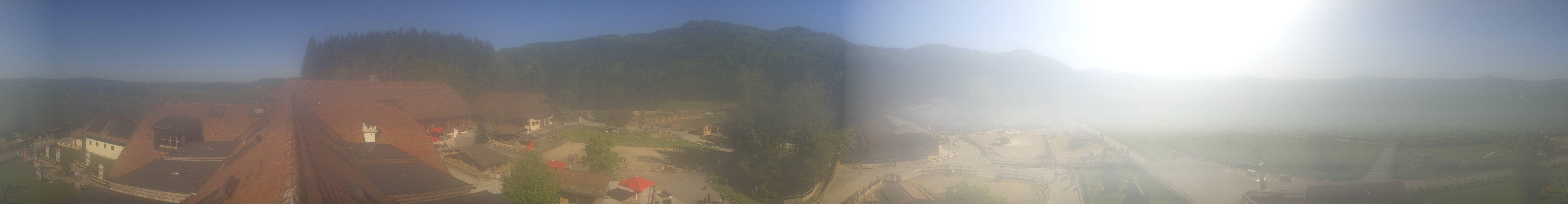 Archiv Foto Webcam Henndorf am Wallersee - Gut Aiderbichl