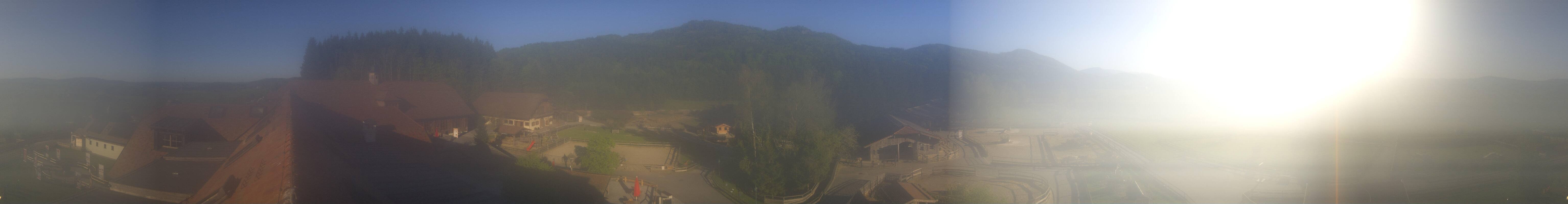 Archiv Foto Webcam Henndorf am Wallersee - Gut Aiderbichl
