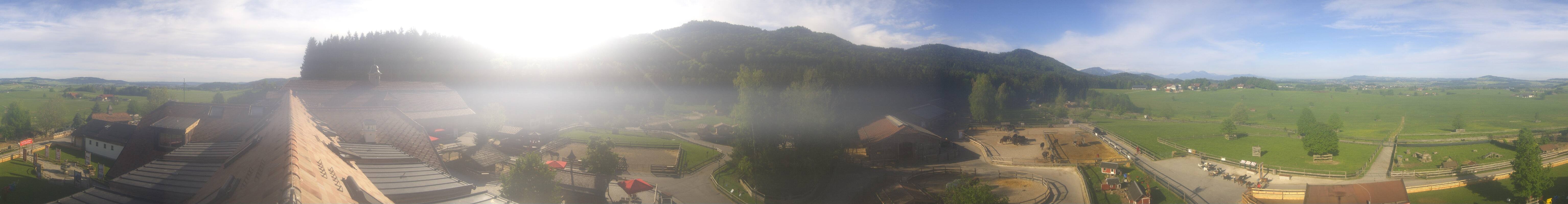 Archiv Foto Webcam Henndorf am Wallersee - Gut Aiderbichl