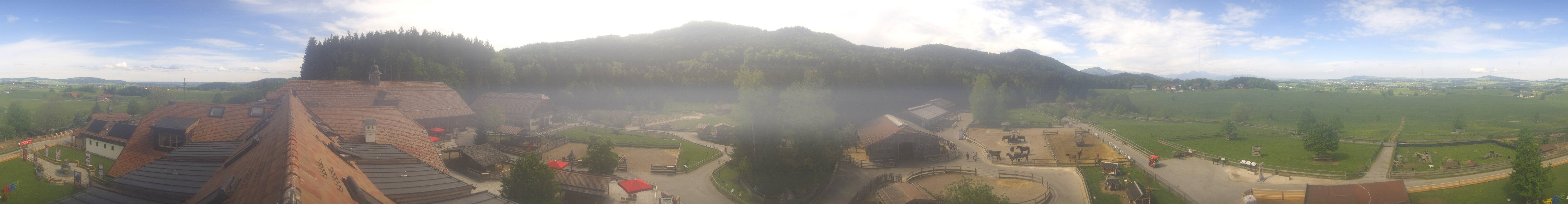 Archiv Foto Webcam Henndorf am Wallersee - Gut Aiderbichl