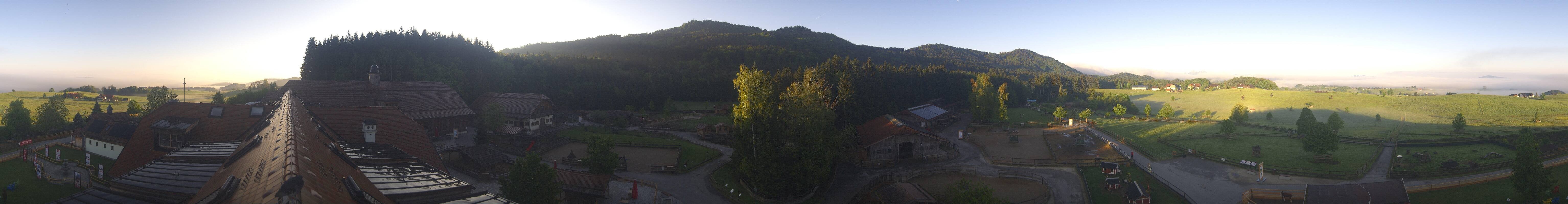 Archiv Foto Webcam Henndorf am Wallersee - Gut Aiderbichl