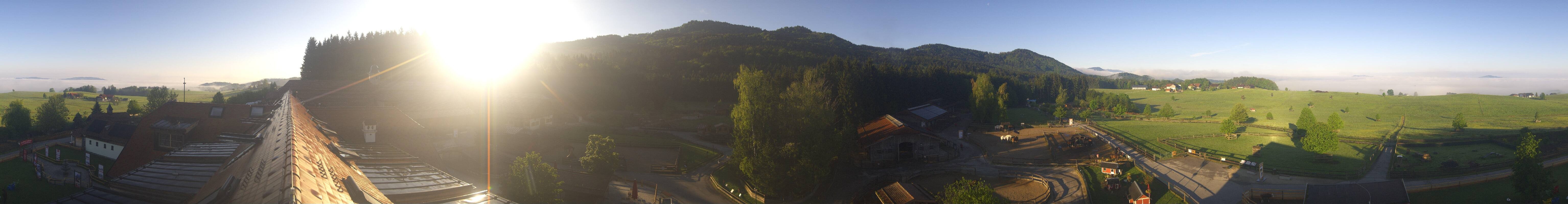 Archiv Foto Webcam Henndorf am Wallersee - Gut Aiderbichl